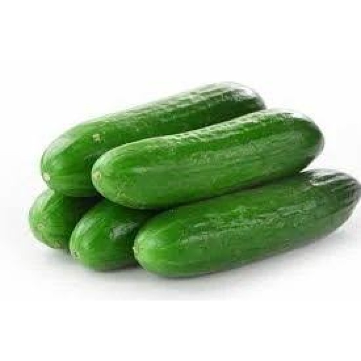 Cucumber (Ooty) / വെള്ളരിക്ക - 500gm Pack (Ozone Washed)